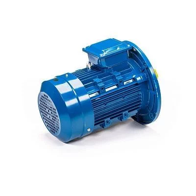 Электродвигатель АИР 100 L6 IM 3081 фланец