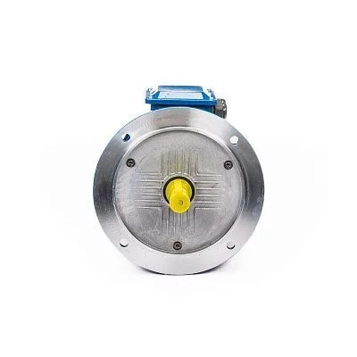 Электродвигатель АИР 100 L6 IM 3081 фланец