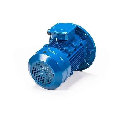 Электродвигатель АИР 100 L6 IM 3081 фланец